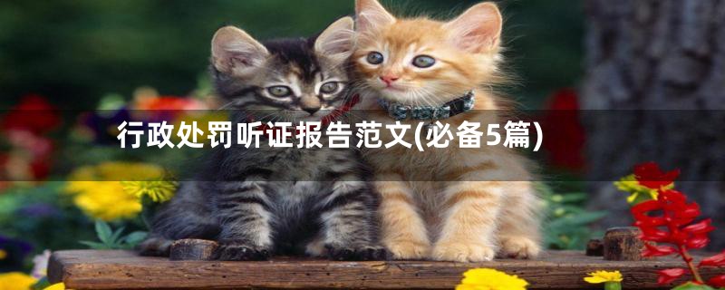 行政处罚听证报告范文(必备5篇)