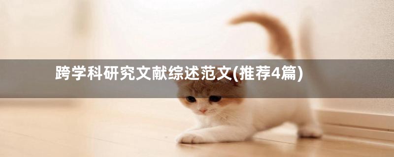 跨学科研究文献综述范文(推荐4篇)
