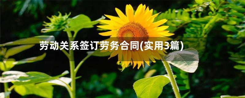 劳动关系签订劳务合同(实用3篇)