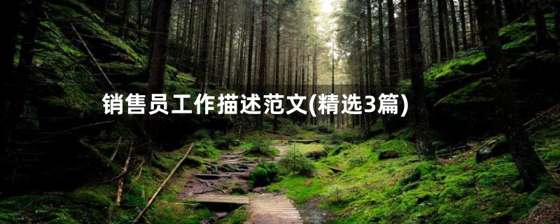 销售员工作描述范文(精选3篇)