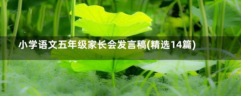 小学语文五年级家长会发言稿(精选14篇)