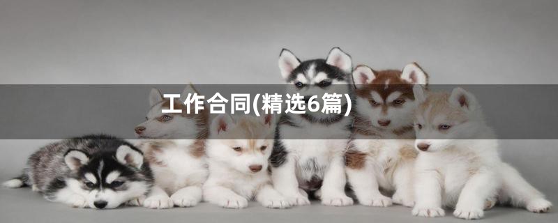 工作合同(精选6篇)