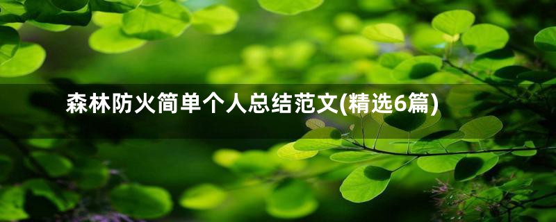 森林防火简单个人总结范文(精选6篇)