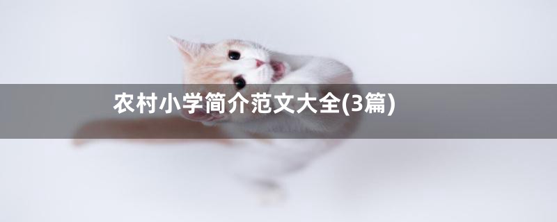 农村小学简介范文大全(3篇)