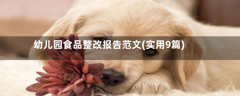 幼儿园食品整改报告范文(实用9篇)