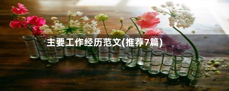 主要工作经历范文(推荐7篇)