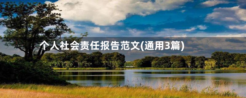 个人社会责任报告范文(通用3篇)