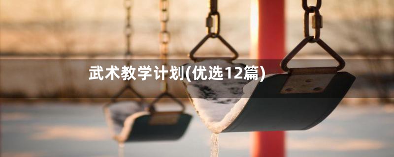 武术教学计划(优选12篇)