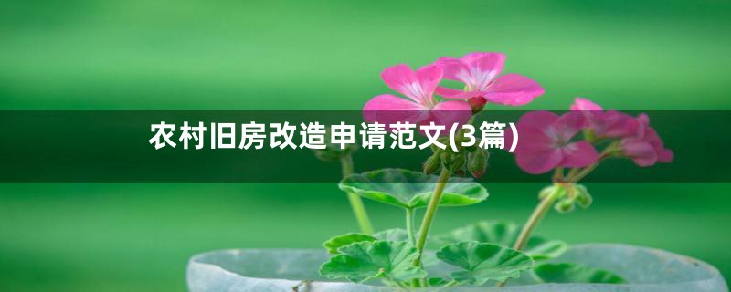 农村旧房改造申请范文(3篇)