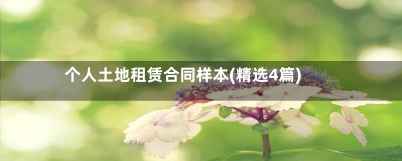 个人土地租赁合同样本(精选4篇)