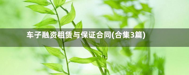 车子融资租赁与保证合同(合集3篇)
