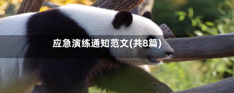 应急演练通知范文(共8篇)