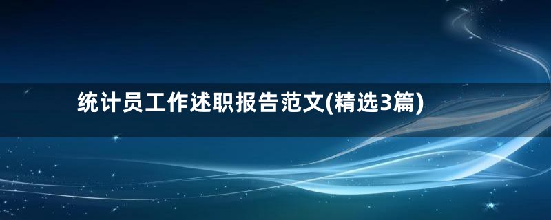 统计员工作述职报告范文(精选3篇)