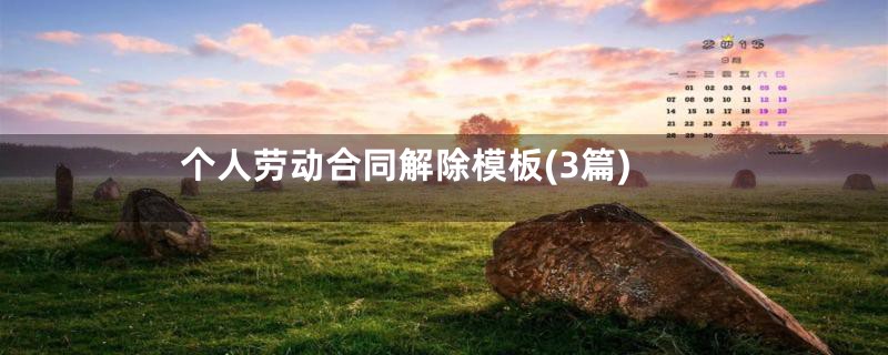 个人劳动合同解除模板(3篇)