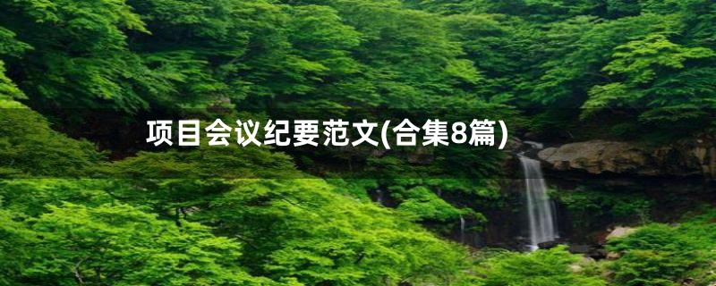 项目会议纪要范文(合集8篇)