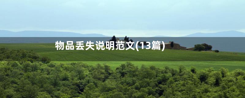 物品丢失说明范文(13篇)