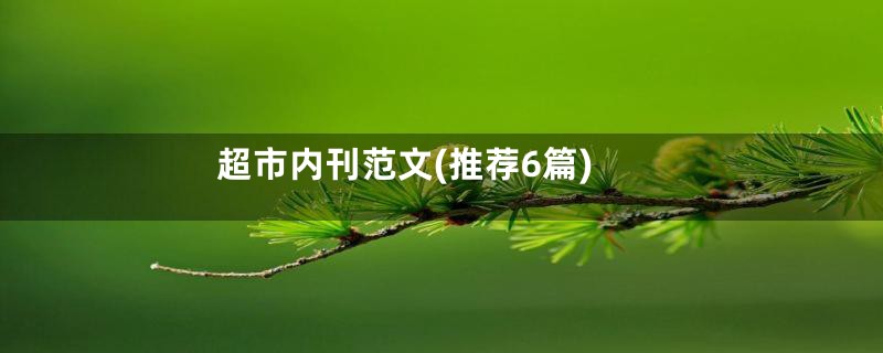 超市内刊范文(推荐6篇)
