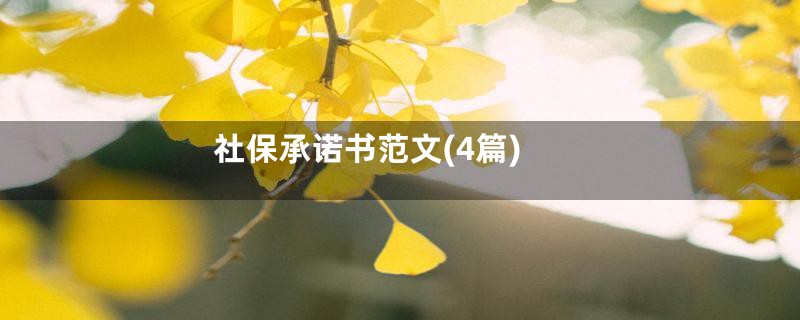 社保承诺书范文(4篇)