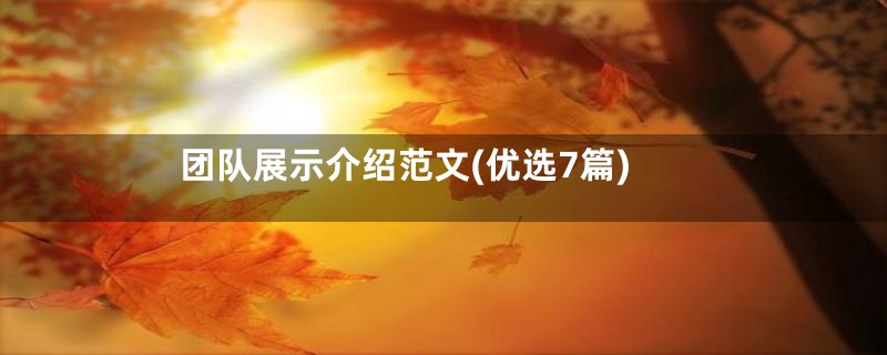 团队展示介绍范文(优选7篇)