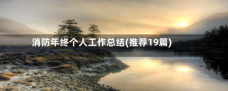 消防年终个人工作总结(推荐19篇)
