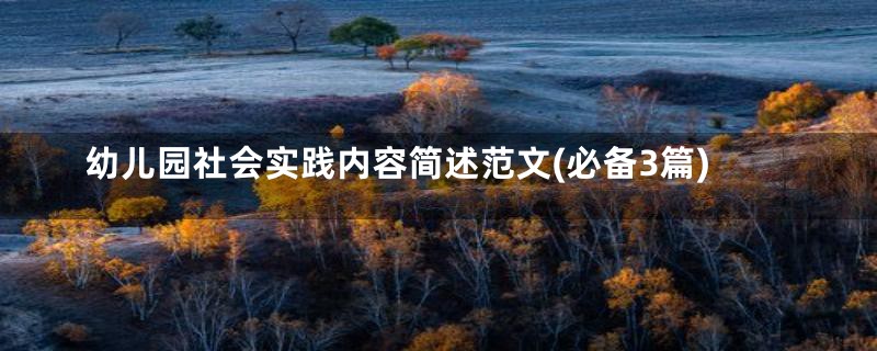 幼儿园社会实践内容简述范文(必备3篇)