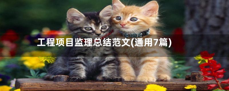 工程项目监理总结范文(通用7篇)