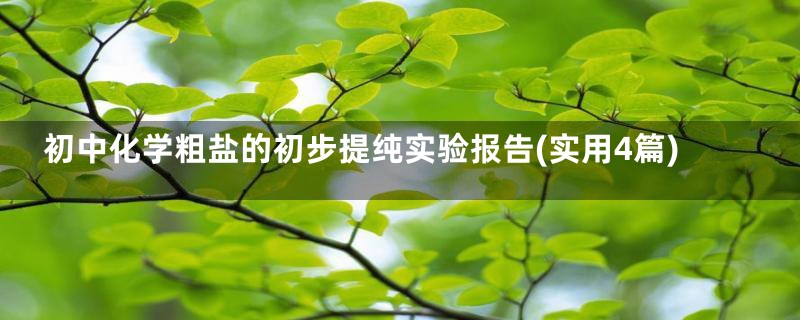 初中化学粗盐的初步提纯实验报告(实用4篇)