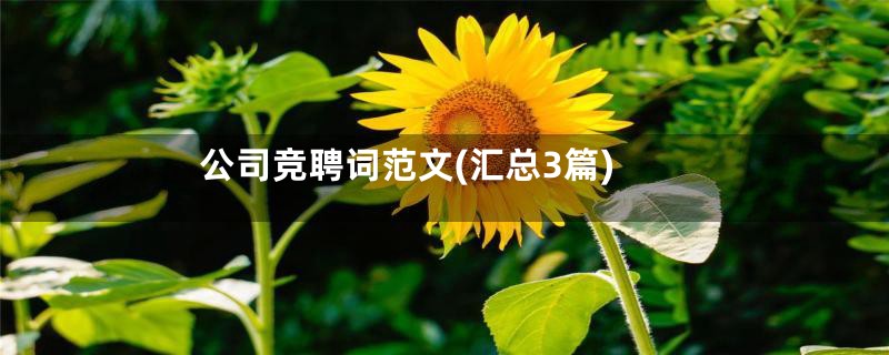 公司竞聘词范文(汇总3篇)
