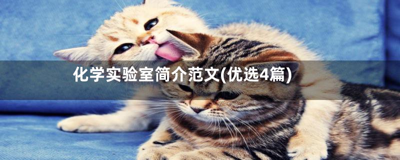 化学实验室简介范文(优选4篇)