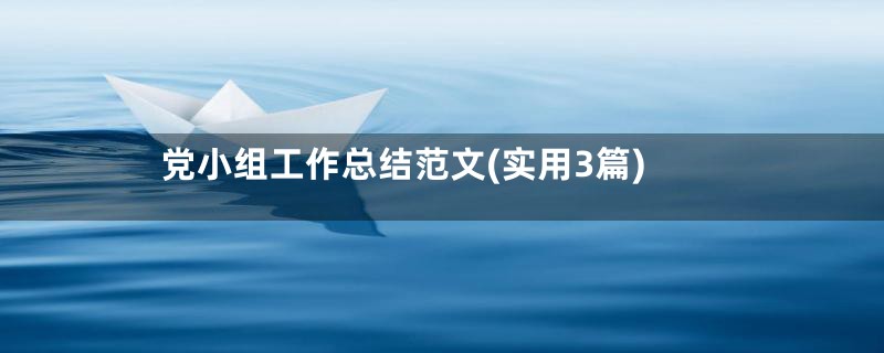 党小组工作总结范文(实用3篇)