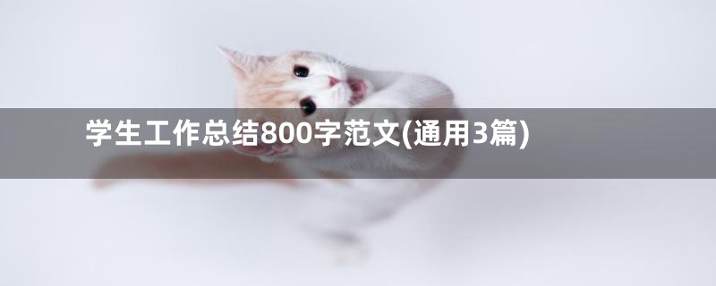 学生工作总结800字范文(通用3篇)