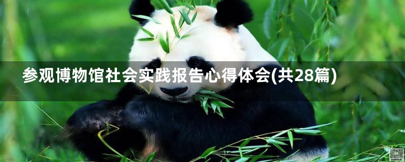 参观博物馆社会实践报告心得体会(共28篇)