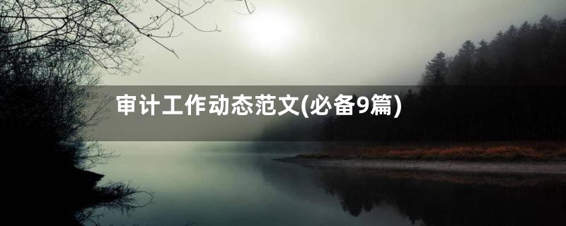 审计工作动态范文(必备9篇)