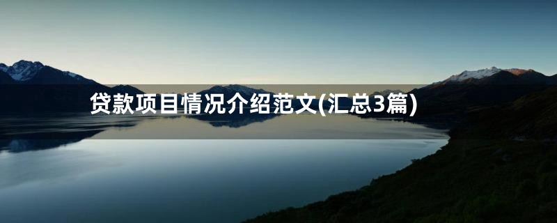 贷款项目情况介绍范文(汇总3篇)