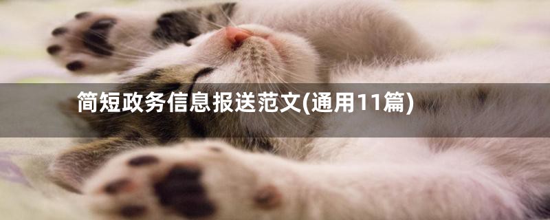 简短政务信息报送范文(通用11篇)