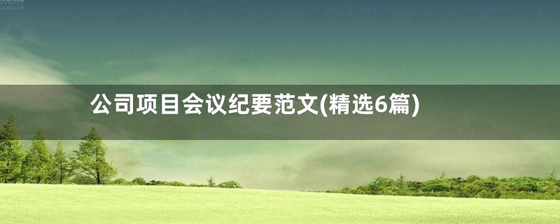 公司项目会议纪要范文(精选6篇)