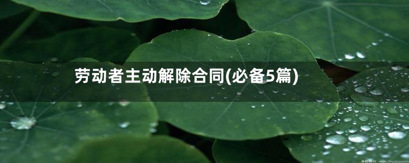 劳动者主动解除合同(必备5篇)