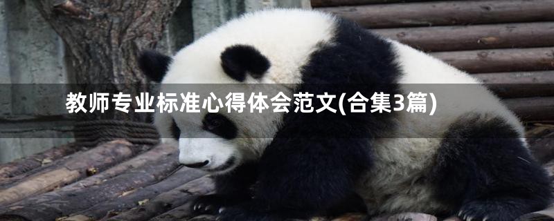 教师专业标准心得体会范文(合集3篇)