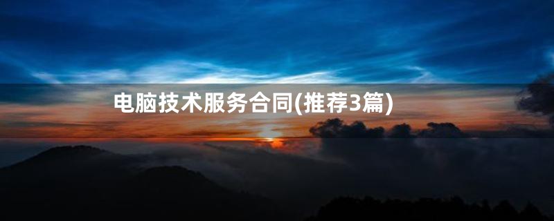 电脑技术服务合同(推荐3篇)
