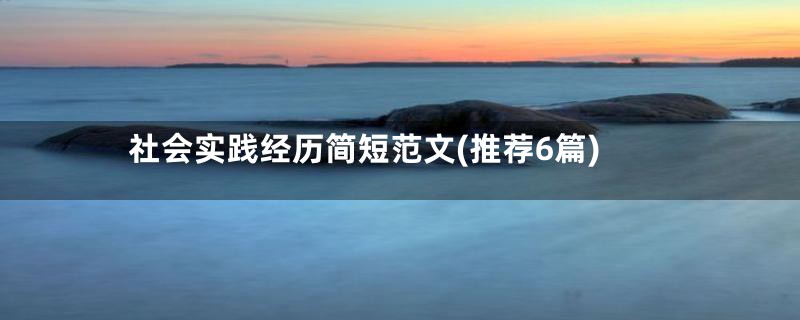 社会实践经历简短范文(推荐6篇)