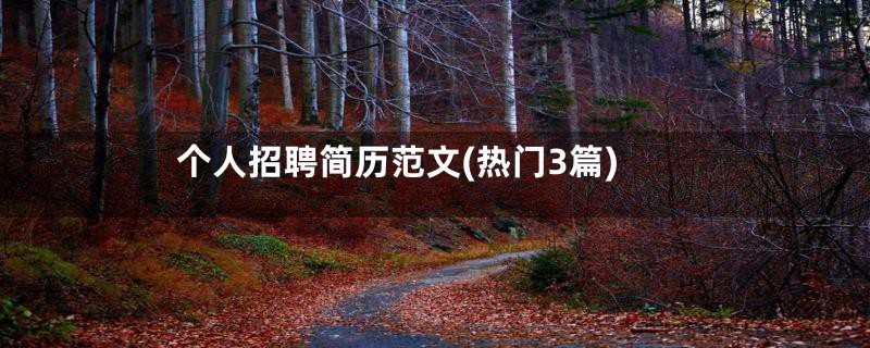 个人招聘简历范文(热门3篇)