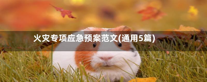 火灾专项应急预案范文(通用5篇)