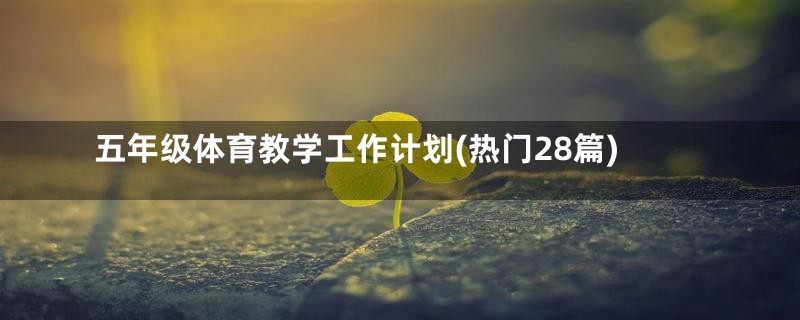 五年级体育教学工作计划(热门28篇)