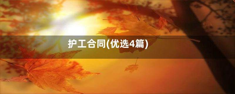 护工合同(优选4篇)