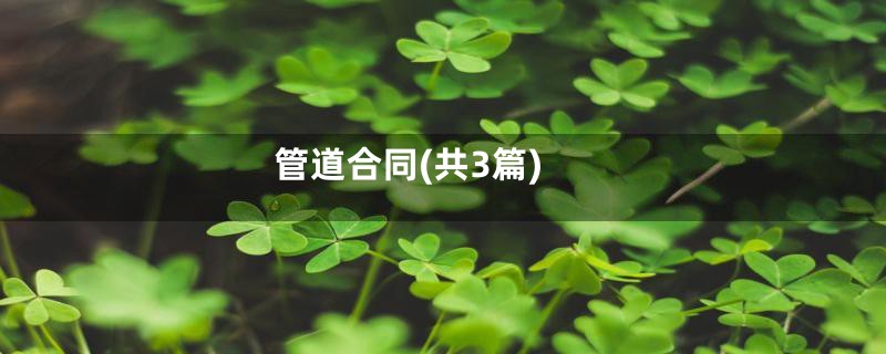 管道合同(共3篇)