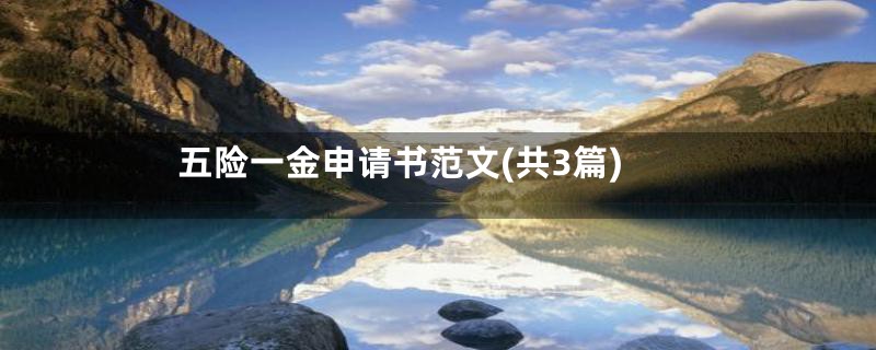 五险一金申请书范文(共3篇)