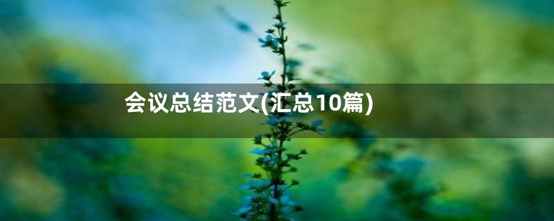 会议总结范文(汇总10篇)