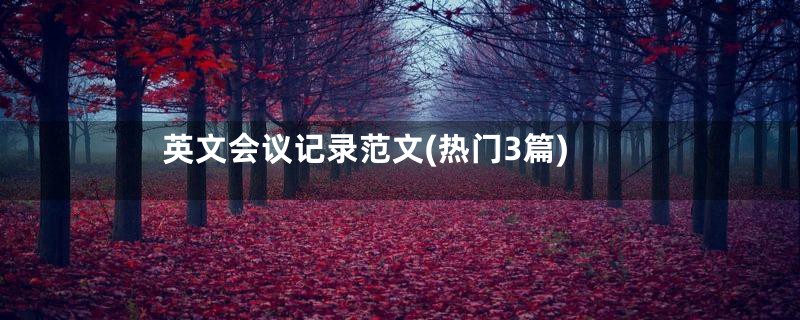 英文会议记录范文(热门3篇)