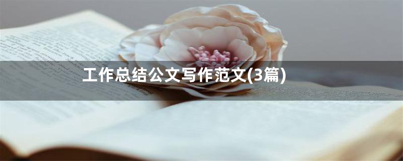 工作总结公文写作范文(3篇)
