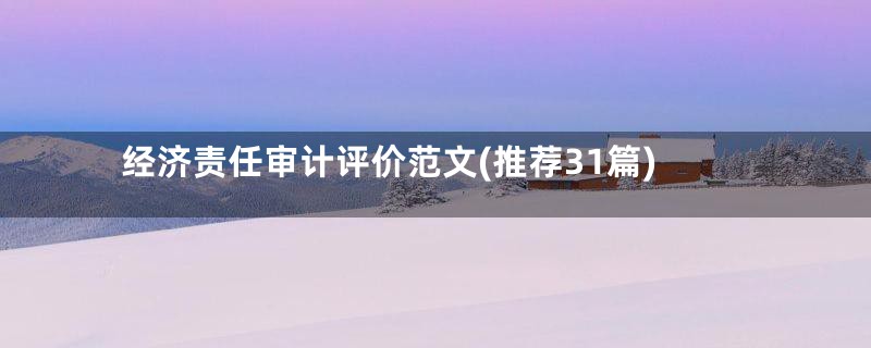 经济责任审计评价范文(推荐31篇)